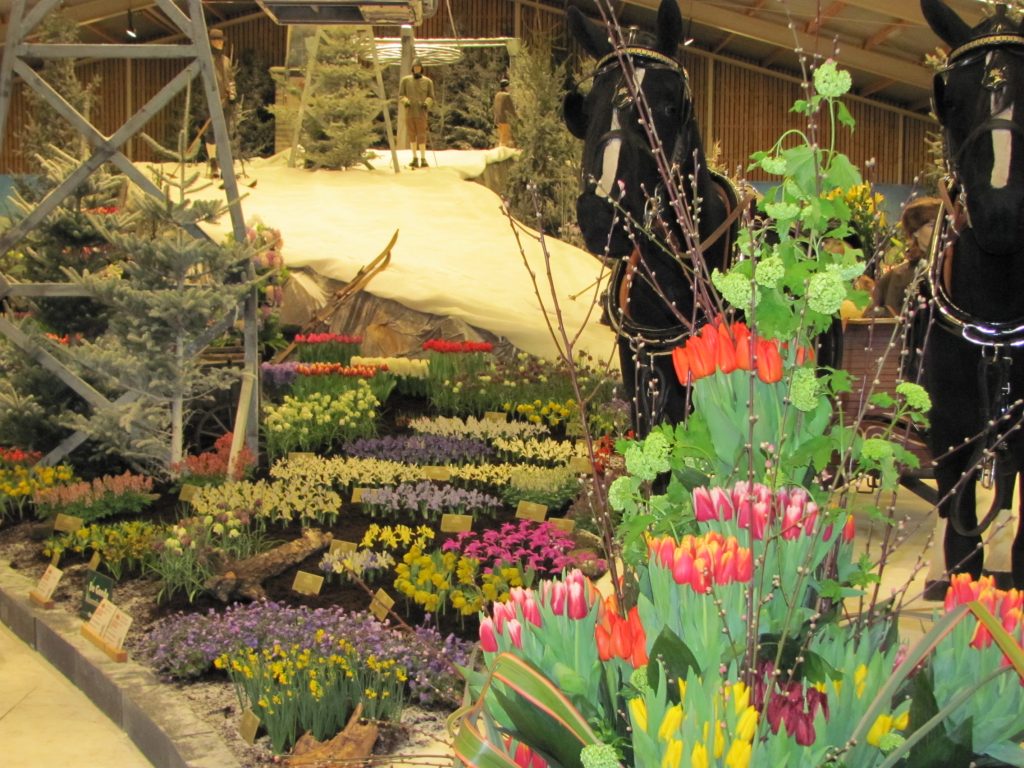 Lente in Breezand! Lente in Tirol