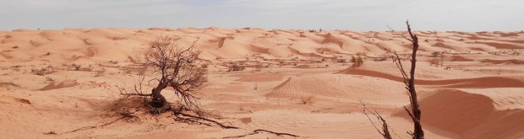Glazen kas in Tunesische woestijn was bewuste keuze