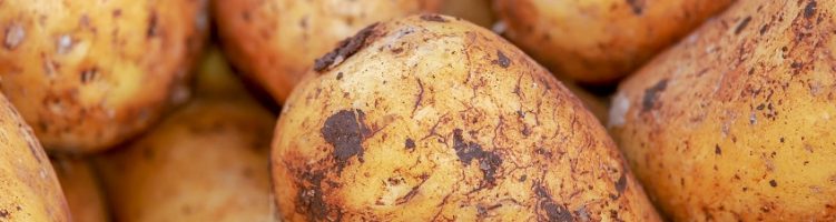 Draadloos aangestuurde aardappelbewaarcellen