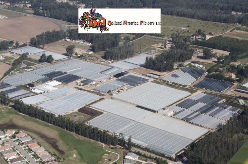 Draadloze primeur in the USA