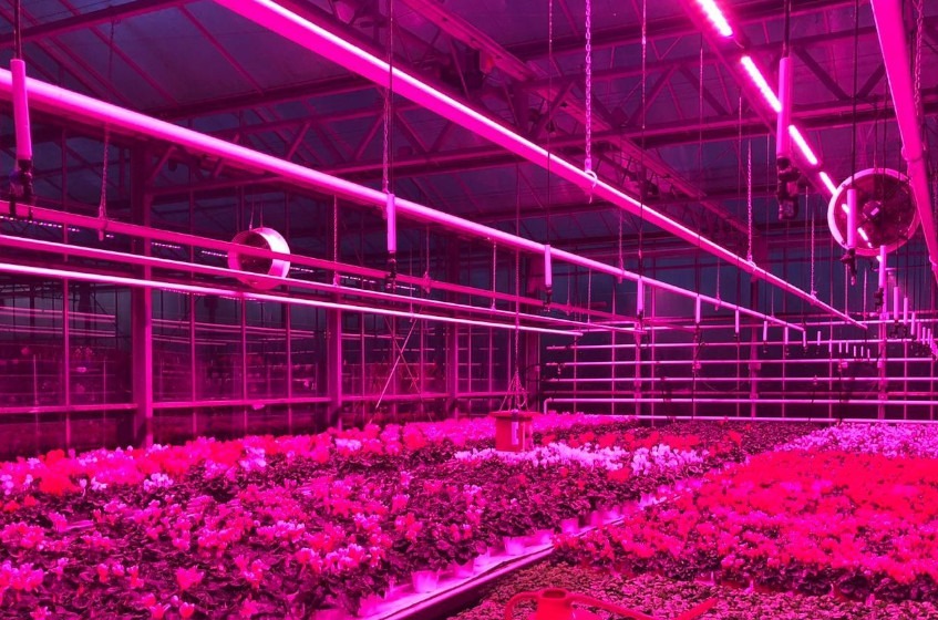 Britse tuinbouwsector