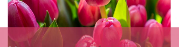 [Englisch] National Tulip Day 2021