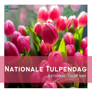 National Tulip Day