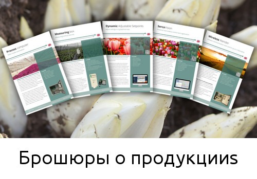 Продукты
