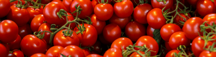 Eindgebruiker TVA Growers