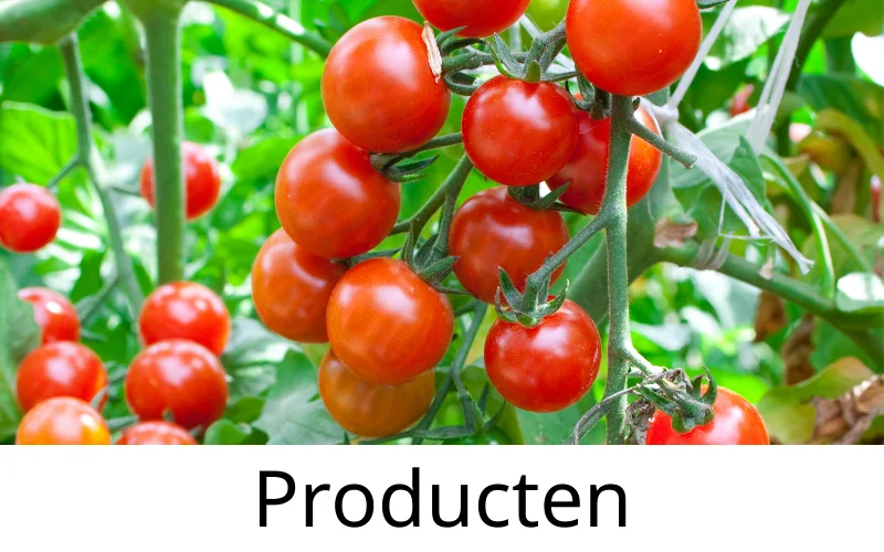 (Glas)tuinbouw