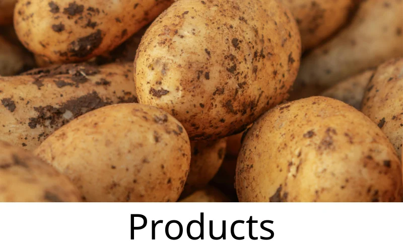 Potato storage