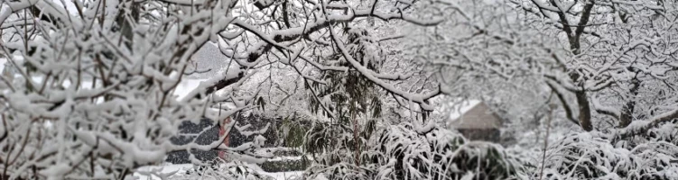 Winter wonderland 2026